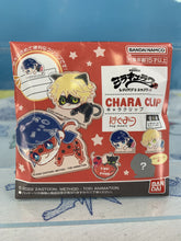 Load image into Gallery viewer, Miraculous Ladybug & Cat Noir Chara Clip Hug Meets Blind Box