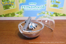 Load image into Gallery viewer, Pokemon Blind Box Terrarium Collection Vol. 13 Re-Ment