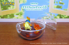 Load image into Gallery viewer, Pokemon Blind Box Terrarium Collection Vol. 13 Re-Ment