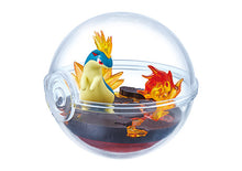 Load image into Gallery viewer, Pokemon Blind Box Terrarium Collection Vol. 13 Re-Ment