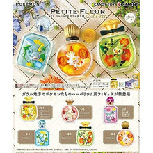 Load image into Gallery viewer, Pokemon Blind Box PETITE FLEUR EX Galar Region Re-Ment