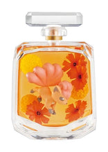 Load image into Gallery viewer, Pokemon Blind Box Petit Fleur Deux Re-Ment
