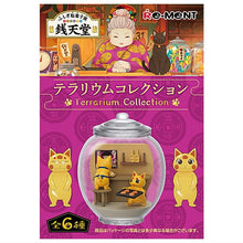 Load image into Gallery viewer, Fushigi Dagakiya Senendo Blind Box Terrarium Collection Re-Ment

